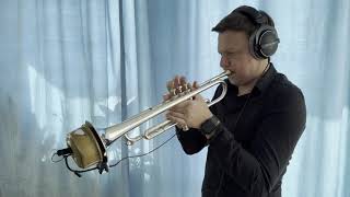 Rafał Dubicki - Feelings (Morris Albert Trumpet Cover)