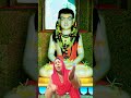 chimta gaddh diya gorakh ne bhajan guru gorakhnath ji shorts new bhajan viralshorts baba