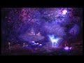 Visions - The Spirit Song - A Nordic Lullaby Long song slow for meditation