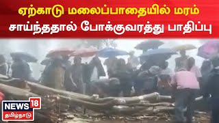 Yercaud Rain | ஏற்காடு மலைப்பாதையில் மரம் சாய்ந்ததால் போக்குவரத்து பாதிப்பு | Tamil News