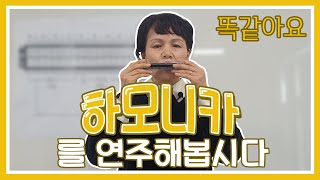 포천시노인복지관 평생교육문화프로그램_하모니카 1강(박경희 강사)