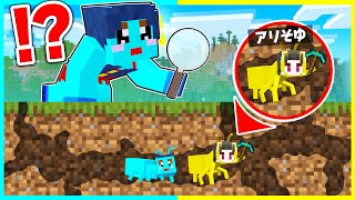 アリの力を使ってチート逃走中！ママから逃げろ🔥【まいくら / マインクラフト】