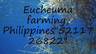 How to pronounce Eucheuma farming, Philippines\