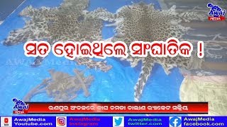 ବନବିଭାଗ - ଚମଡା ବେପାରୀ ମଧୁଚନ୍ଦ୍ରିକା // Nayagada@Kishore Mohapatra