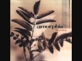 Amorphis - Summers End