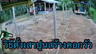 Ep.99 วิธีตั้งเสาปูนสร้างคอกวัว