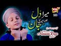 Muhammad Hassan Raza Qadri - Mera Dil Aur Meri Jaan - New Special Kalaam 2018 - Heera Gold