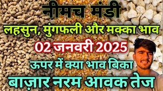 लहसुन, मुंगफली और मक्का भाव | Neemuch Mandi | Today Price