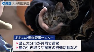 【大分】保護猫との触れ合いイベント