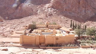 Monastero di Santa Caterina nel Sinai, un fiore nel deserto