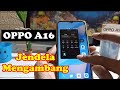 How to enable Floating Window on Oppo A16