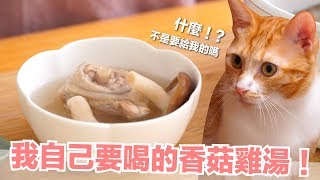 我自己要喝的香菇雞湯！好啦可以分給貓咪一點～【貓副食食譜】好味貓鮮食廚房EP169