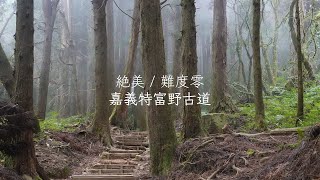 明明在嘉義卻很像歐洲林間小路的特富野古道，非常簡單推薦給大家