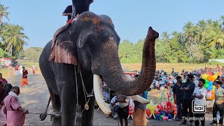 പാപ്പാൻ പറയാതെ തന്നെ സല്യൂട്ട് അടിക്കാൻ എനിക്കറിയാം 😜 thrikadavoor sivarajuu