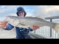 Striper Fishing Secrets Revealed! Bay Area STRIPED BASS Fishing