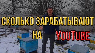 Зачем снимают видео и сколько зарабатывают пчеловоды на ЮТУБЕ