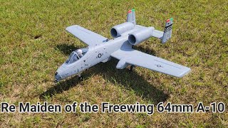 Re Maiden of the Freewing 64mm A-10 (got a lot of work to do)