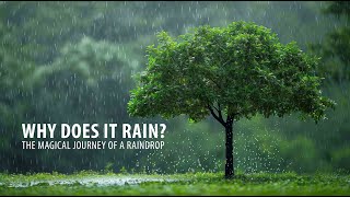 🌧️ WHY DOES IT RAIN? – THE MAGICAL JOURNEY OF A RAINDROP