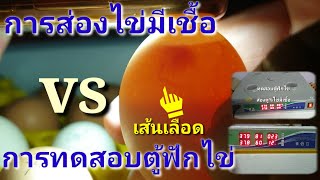 การทดสอบตู้ฟักไข่ และ การส่องไข่ไก่มีเชื้อสำหรับฟัก  by  คำเงินฟาร์ม