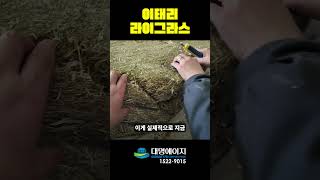 대명에이지가 '브로커' 업체라구요? 진짜 조사료 업체를 보여드리겠습니다. #farming #수입조사료 #조사료 #farming