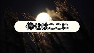 倖せはここに　石原裕次郎（カバー）