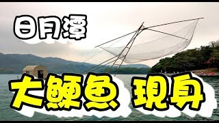 【釣魚玩家】日月潭筏釣 大鯁魚的逆襲