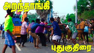 அறந்தாங்கி புதுகுதிரை