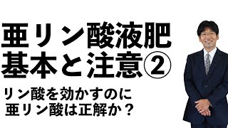 リン酸を効かす手段として【農業 収益UP】