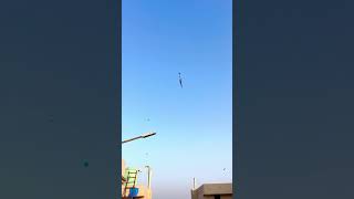 Wait for the end😂kite flying🪁in Amritsar🌪️ #amritsar #kiteflying #kite #subscribe #viral #shorts