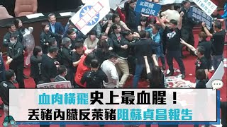 【有影】血肉橫飛一刀未剪／議場爆衝突 國民黨團丟豬內臟阻蘇貞昌報告