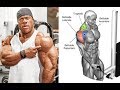 FULL SHOULDERS WORKOUT / programme musculation épaules