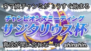 ウマ娘　チャンミ　サジタリウス杯2022  根性育成で挑む　果たして育成間に合うのか…