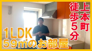 【１ＬＤＫなのにこの広さ！】上本町から徒歩５分のところにある５９㎡のお部屋のがオシャレすぎた！