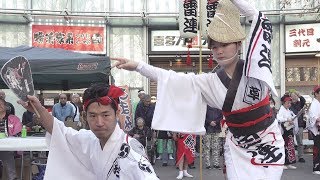 見とれる阿波踊り「浅草雷連」第20回記念イーストコア曳舟商店会曳舟お宝市（2019.11.17）