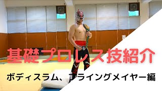 【プロレス技紹介】プロレスファン必見のあの技はこのようにしてできていた！！