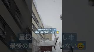 あまりの雪の量に慌てて雪おろし