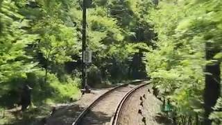 【叡電】青もみじのトンネル2018（二ノ瀬→市原）