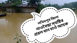 লখিমপুৰ জিলা নাওবৈছা সমষ্টিৰ প্ৰৱল বান পৰিস্থিতিৰ ।LAKHIMPUR JILAR NOWBOICHA POBOL BAN PORISTHATI