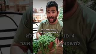 5 צמחים נשפכים לתוך הבית שלא תצטרכו לטפל בהם הרבה 🪴