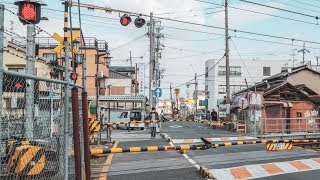 4박5일간의 일본 여행 (교토,나라) - Japan Trip Video (Kyoto, Nara)