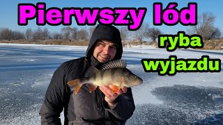 Pierwszy lód | piękny okoń na snake