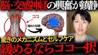 【コリがあると自律神経が乱れる理由】驚きの原因と首肩コリの解消法・セルフケアを解説#不安障害  #アロディニア #異痛症 #自律神経失調症