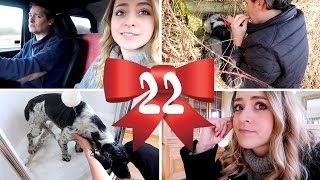 Doggy DISASTER! Vlogmas 23