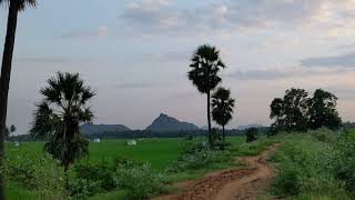 முகவூர் குளம் - முழு கொள்ளளவு நீருடன் நிரம்பியுள்ள காட்சி