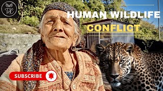 आदमखोर तेंदुए की तलाश में | हिमाचल प्रदेश का इलाका #himachal #leopard #attack #junglevlogs #safari