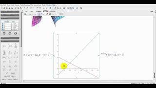Maple 15 (Basic 2)