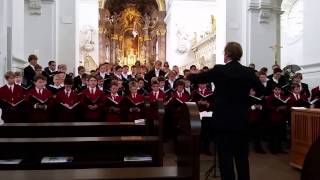 Pueri Cantores 2017 | Paderborner Domchor \u0026 Münchner Domsingknaben \