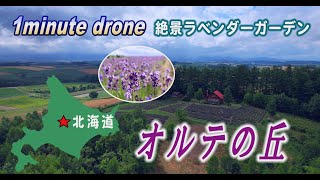 【1min. drone #89】北海道美瑛町・オルテの丘～絵本のようなラベンダーガーデン～