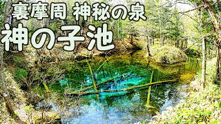 神の子池 裏摩周 神秘の泉 『北海道・清里町』