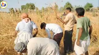 मारवाड़ी  भणत Marwadi Bhant आदर्श गांव आदर्श चवा Lah ki Bhinat लाह की भिणत